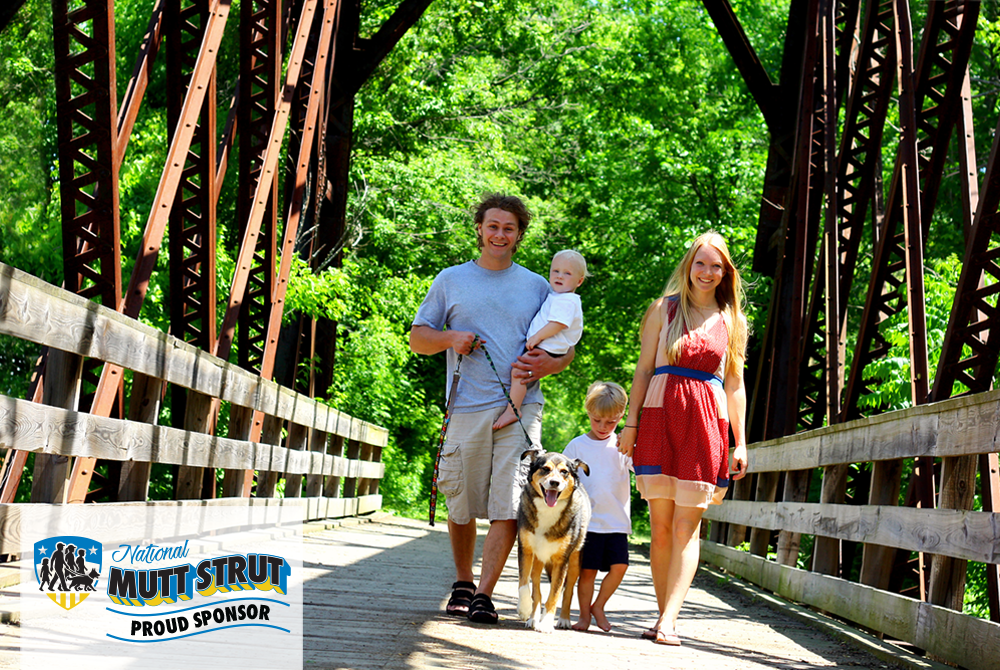 Bully Max Announced as a Silver Sponsor for the 2025 National Mutt Strut Benefiting Guardian Angels Medical Service Dogs