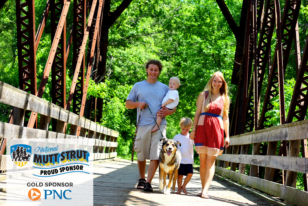 PNC Bank Announced as Gold Sponsor for the 2025 National Mutt Strut Benefiting Guardian Angels Medical Service Dogs